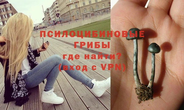 ПСИЛОЦИБИНОВЫЕ ГРИБЫ Дмитриев